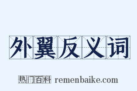 外翼反义词是什么意思的图片